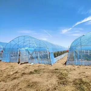 Materiale ecologico tunnel copertura serra con pad di raffreddamento per la vendita