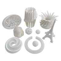 Service d'impression 3D SLS SLA en plastique résine ABS nylon prototype rapide personnalisé de haute qualité
