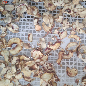 Hồng ngoại Nho Khô Máy/Chất Lượng Cao Nho Khô Tunnel/Nho Đai Khô Máy - Product Image 2