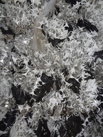 PP - LEMBARAN PLASTIK POLYPROPYLENE PUTIH - SKELETON (OFF CUT) DENGAN LEMBARAN ALUMINIUM FOIL - LAYER BALOK SAMPAH - LIMBAH UNTUK DIDAUR ULANG