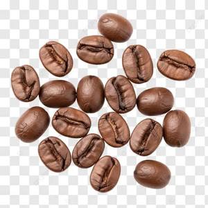 เมล็ดกาแฟคั่วสดคุณภาพเยี่ยม ขายส่งจำนวนมาก ส่งออก กลิ่นหอมเข้มข้น รสชาติกลมกล่อม จัดส่งตรงจากโรงงาน มีสินค้าพร้อมส่ง - Product Image 3