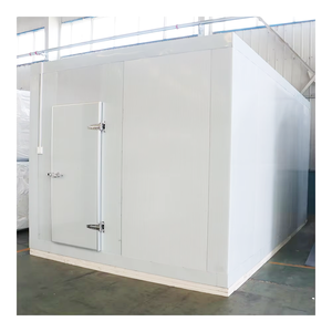 NUEVO HeLeng Chiller Cámara fría refrigerada Uso especial para <span class=keywords><strong>carne</strong></span> de res Argentina/Pampas - Product Image 4