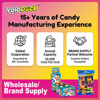Yoloduck Vente en gros de bonbons gélifiés halal personnalisés, assortiment de designs de sushi, bonbons gélifiés à mâcher en gros