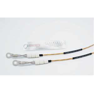 Sensor de temperatura para calentador eléctrico, dispositivo especial de acero inoxidable para la fabricación de termopar de corredores calientes - Product Image 2