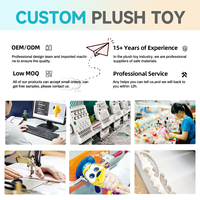 Poupée en Peluche Kpop Douce à Design Personnalisé, Vente Chaude, Poupée en Peluche Personnalisée de 10 cm en Coton de Bande Dessinée