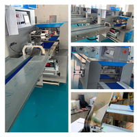 Máquina Empacadora de Flujo Horizontal Totalmente Automática para Envolver Helados y Paletas