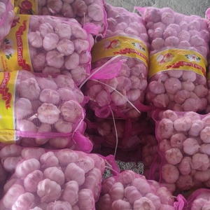 2025, la cantidad al por mayor más vendida, suministro de verduras, <span class=keywords><strong>ajo</strong></span> rojo fresco nutritivo natural del fabricante de origen egipcio - Product Image 4