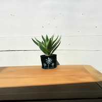 Pot de fleurs décoratif d'intérieur noir élégant pour plantes d'appoint, décoration maison, salon, bureau, table, support pour plantes vertes