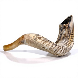 Shofar artisanal en corne de bélier naturelle, poli, style antique, trompette rituelle décorative d'Inde - Product Image 1