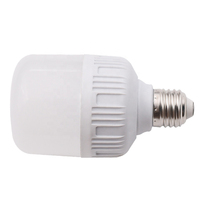 Ampoule LED en forme de T Roomlux de haute qualité 120/230V E27 20W/30W/50W/60W 6000K Lumière du jour Construction en alliage d'aluminium