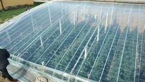 Pellicola per serra in polietilene di plastica antigoccia con rivestimento in plastica resistente ai raggi UV per l'irrigazione di terreni agricoli di piantine - Product Image 6
