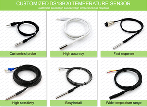 Capteur de température RTD <span class=keywords><strong>PT100</strong></span> PT500 PT1000 pour <span class=keywords><strong>Arduino</strong></span> avec connecteur 3,5 mm, capteur de température personnalisé de haute qualité - Product Image 5