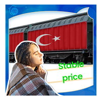 Transitaire Professionnel Chine Turquie Expédition Maritime Aérienne Express BDS Transporteur EXW CIF Transit en 7-10 Jours Manipulation de Marchandises Dangereuses 24/7