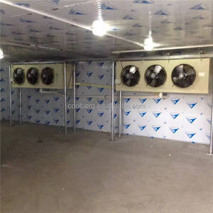 <span class=keywords><strong>Chambre</strong></span> <span class=keywords><strong>froide</strong></span> adaptée aux besoins du client par température positive ou négative de pièce de congélateur - Product Image 5