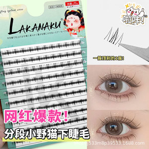 ขนตาล่างลาคานาคุ 10 แถว แบ่งเป็นช่อ ธรรมชาติ นุ่ม ไร้รอยต่อ แถบกาวแบบซี เคิร์ล ใยนำเข้า - Product Image 1