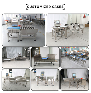Báscula de control de peso automática de alta precisión para línea de producción - Product Image 4