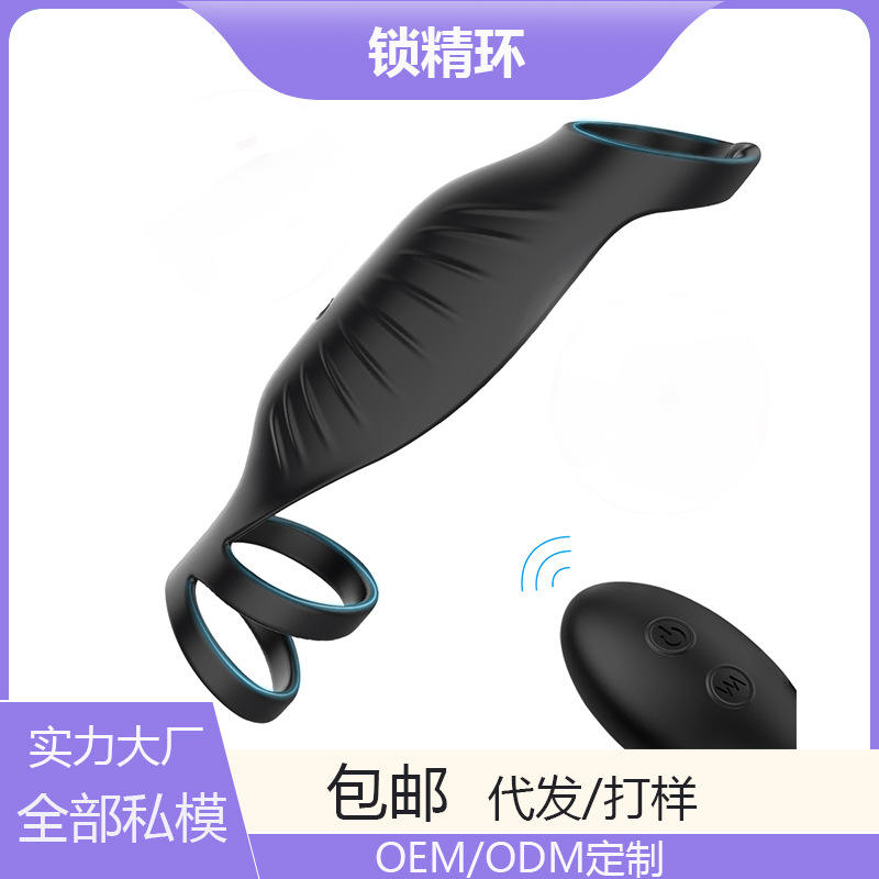SHD - S317 - 2 remote control