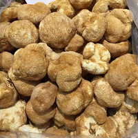 Extrait de champignon crinière de lion de haute qualité en poudre, Hericium Erinaceus, vente en gros, OEM, ODM, fournisseur d'usine