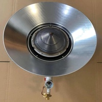 Aluminium Acier inoxydable Infraconic Radiant Brooder Parapluie Chauffage au gaz Fermes avicoles Neuf Utilisé Condition Moteur Pompe Moteur
