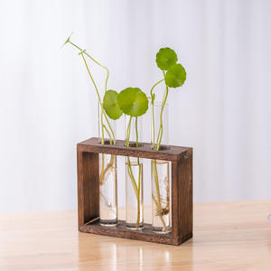 Terrarium avec support en bois jardinières Tubes en verre <span class=keywords><strong>Vase</strong></span> à fleurs hydroponique pour ornements de maison de jardin - Product Image 5