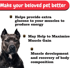 High-Protein Muscle Gain Supplement for Dogs - Supports Lean Muscle Development, Dog Muscles <b>Builder</b> Chews - Product Image 3