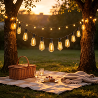 Guirlande lumineuse LED à filament avec commande tactile, IP65, ampoules en verre en forme de goutte d'eau, pour intérieur, jardin, camping, mariages, fêtes, éclairage d'ambiance