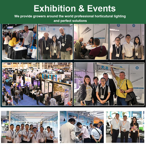 318ไฟ LED 720W สำหรับเรือนกระจกในร่มวัสดุอลูมิเนียม IP54ประหยัดพลังงานสามารถหรี่แสงได้เต็มสเปกตรัมสำหรับเรือนกระจกในร่ม - Product Image 3