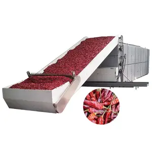 Guoxin fantastic quality chili dryer /pepper mesh belt dryer machine dryng machine