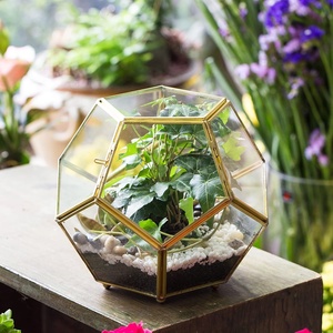 Gold Kupfer Messing Fußball Form Glas Geometrisches Terrarium mit Tür Pentagon Ball Schließen Farn Moos Sukkulente Pflanzer Blume - Product Image 2