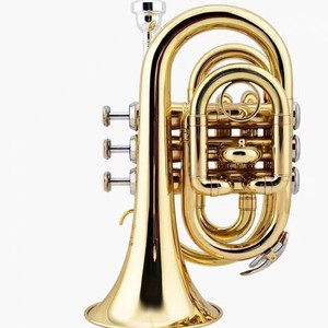 <span class=keywords><strong>Tuba</strong></span> de voyage BB en laiton laqué or, instrument de musique durable - Product Image 4