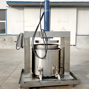 Extracteur de jus multifonctionnel Carottes Longue durée de vie Nouveauté Extracteur de jus industriel hydraulique à froid Presse-agrumes Machine à presser 200L - Product Image 3