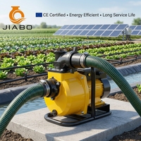 Pompe à eau solaire submersible sans balais à basse pression en acier inoxydable 48/60V DC JIABO pour puits profond, logo personnalisé