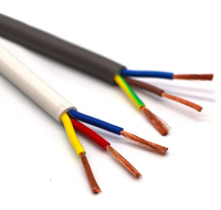 Cable de Alimentación Impermeable con Cubierta de PVC de 3 Núcleos de Cobre SJT SJTW de 2 mm 41/0.254, Personalizado de Fábrica, Venta al por Mayor