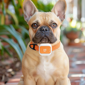 Collier de suivi GPS pour <span class=keywords><strong>chien</strong></span>/chat de haute qualité G01, suivi en temps réel, positionnement intelligent, anti-perte, localisateur GPS - Product Image 4