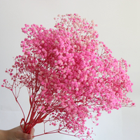Fleur de Gypsophile séchée et préservée, grande, faite à la main, pour la décoration de mariage, de la Saint-Valentin, de Noël, de la remise des diplômes et de fêtes.