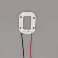 Module thermoélectrique à une étape TEC1-06309 pour éléments de refroidissement en applications esthétiques
