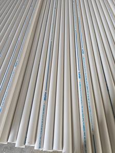 Factory Supply PVC Pipe Fittings CPVC/UPVC True Union <b>Check</b> <b>Valve</b> Industry Use - Product Image 5