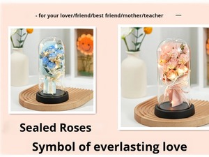 <span class=keywords><strong>Rose</strong></span> Rosse Decorative a LED 2026 Fiori Artificiali Bouquet di <span class=keywords><strong>Rose</strong></span> in Sapone Sotto Cupola Acrilica Regalo per San Valentino - Product Image 5