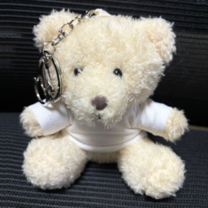 टी-शर्ट कस्टम लोगो के साथ 11 सेमी भरा हुआ टीशर्ट कस्टम लोगो मुद्रण शहर का नाम कंपनी उपहार छोटे आकार भालू - Product Image 5