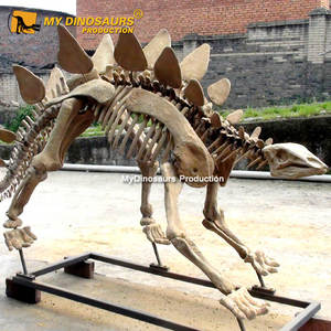 Mon Dino Grandeur nature Dinosaure Stégosaure Squelette Pour Center Commercial - Product Image 3