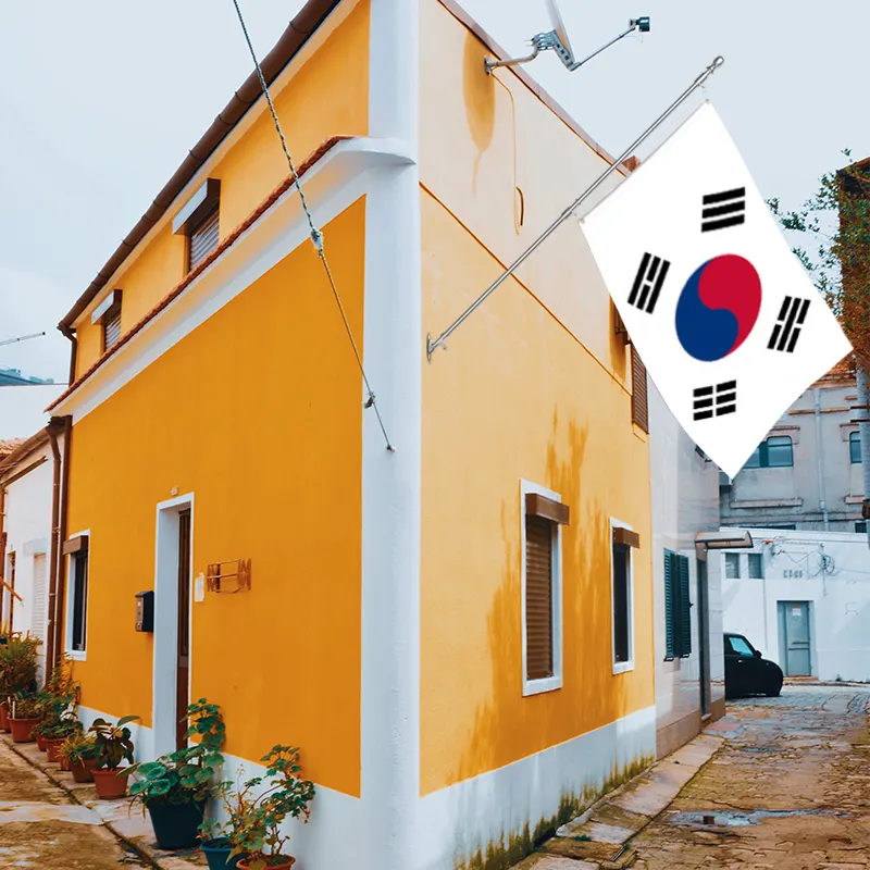Vente en gros 3x5ft drapeaux de la Corée du Sud polyester 68D/100D Personnaliser toutes les nations expédition rapide Fournisseur fiable livraison rapide