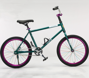 Vente en gros de 20 <span class=keywords><strong>pouces</strong></span> Coaster Brake Fashion Model Bicycle Vélo pour hommes et femmes avec frein à pied pour le marché russe - Product Image 5