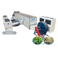 Séchoir à feuilles de laurier continu, séchoir à herbes grande capacité, machine de séchage à air chaud pour herbes
