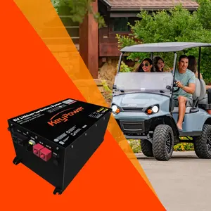 Batterie LiFePO4 48V 100Ah 105Ah 135Ah 230Ah batteries de voiturette de golf électrique Lithium ion IP67 pour EZGO CLUB CAR Yamaha avec BMS