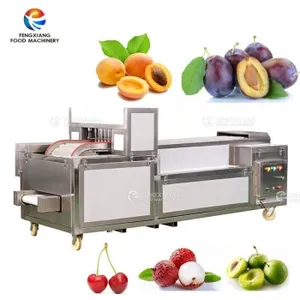 Commercial Fruit Processing Automatic Small Cherry Plum Pitting Core Removing Machine