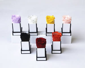 Équateur roses conservées 1pc fleur préservée boîte-cadeau finie <span class=keywords><strong>rose</strong></span> petite boîte à la main pour <span class=keywords><strong>rose</strong></span> préservée - Product Image 2