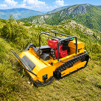 Mesin Diesel Robot Pemotong Rumput Kecil Lebar Pemotongan 800mm 1000mm Remote Control Crawler Lawn Mower