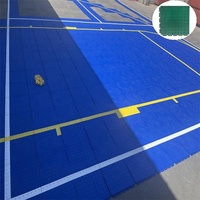 Ladrillos de Drenaje Encajables para Canchas Deportivas Mini en Exteriores/Jardines, con Cancha de Baloncesto de Segunda Mano en Venta