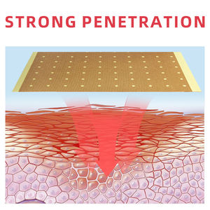 CE認証取得済みのヘルスケア用品、唐辛子とベルアドン配合の温湿布パッチ、体の抗リウマチ性疼痛緩和に - Product Image 2