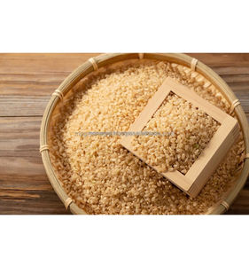 Arroz Integral Vietnamita de Grano Largo, 5% de Grano Partido, Alto en Fibra, Procedente de Vietnam de Forma Sostenible para Comidas Nutritivas - Product Image 4